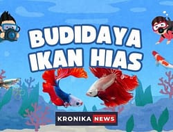 Budidaya Ikan Hias: Peluang Usaha Menjanjikan dengan Modal Terjangkau dan Untung Besar