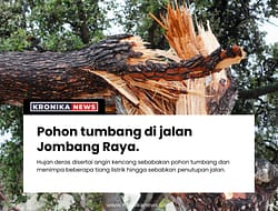 HUJAN DAN ANGIN KENCANG MENGKIBATKAN POHON TUMBANG DI BINTARO TANGERANG SELATAN