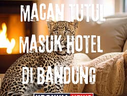 MACAN TUTUL MASUK HOTEL DI BANDUNG, DIDUGA KABUR DARI LEMBANG PARK & ZOO