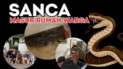 kronikanews