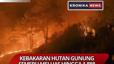 Kebakaran Hutan Gunung Semeru Meluas Hingga 1.888 Hektare, Tim Gabungan Padamkan Secara Manual |Gambar Illustrasi-Kronikanews