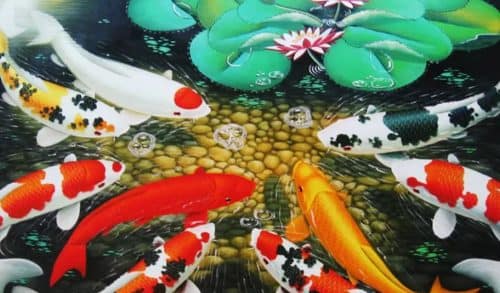 Budidaya ikan hias_Ikan Koi