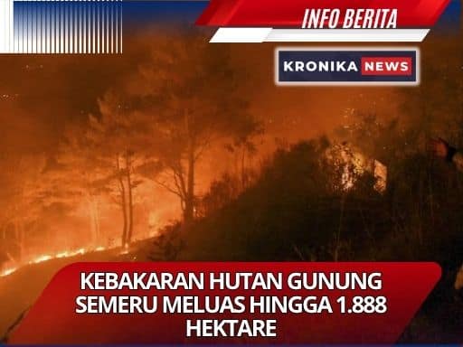 Kebakaran Hutan Gunung Semeru Meluas Hingga 1.888 Hektare, Tim Gabungan Padamkan Secara Manual |Gambar Illustrasi-Kronikanews